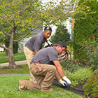 Landscape Estimator - Landscaping Employment Opportunities