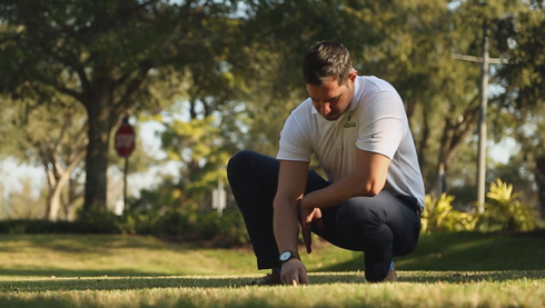 what do landscape professionals do