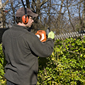 Man-Trims-Hedge-Wearing-Safety-Equipment-000011891860_Medium-resized.jpg