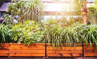 Green-plants-in-modern-building-000076991923_Large-mobile.jpg