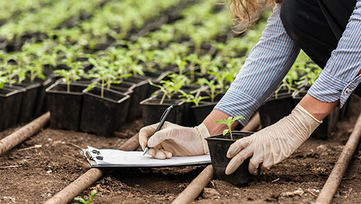 Nursery Professional – Landscape Industry Careers