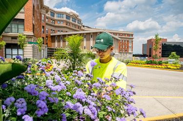 Landscaping opportunities